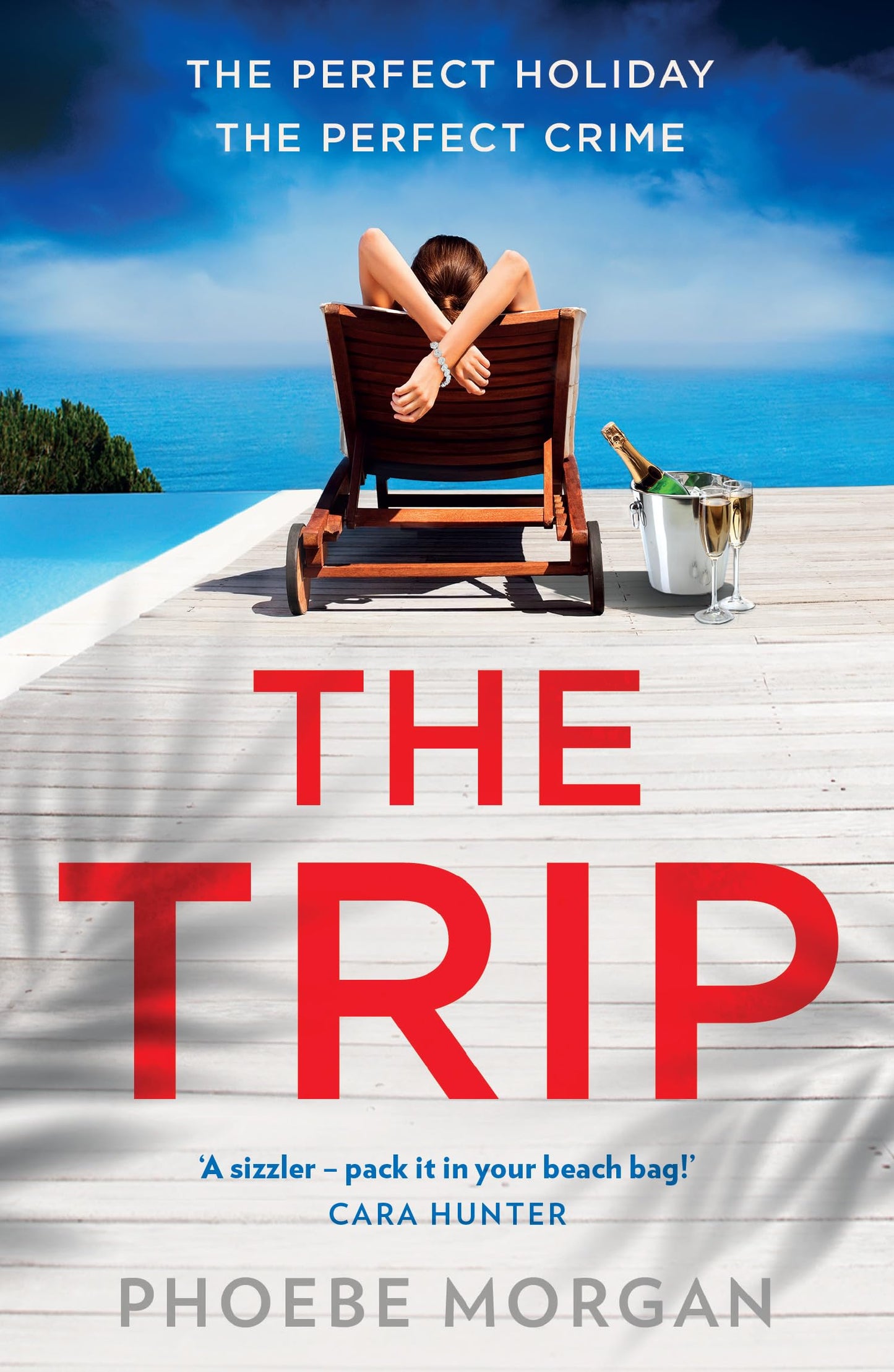 The Trip: A gripping beach read psychological suspense crime thriller from the author of The Babysitter and The Wild – perfect for summer!