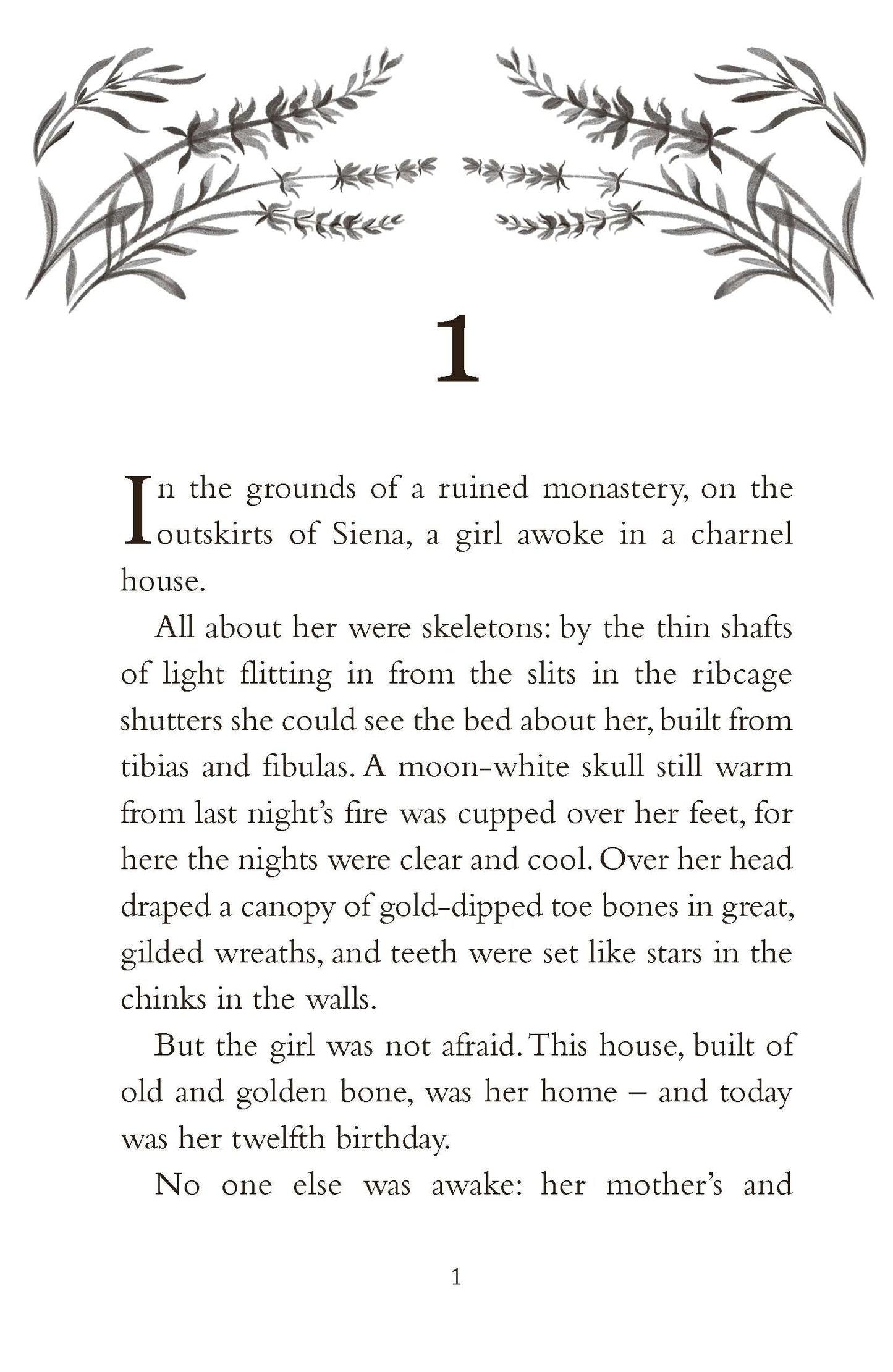 A Secret of Birds & Bone: from the bestselling author of The Girl of Ink & Stars