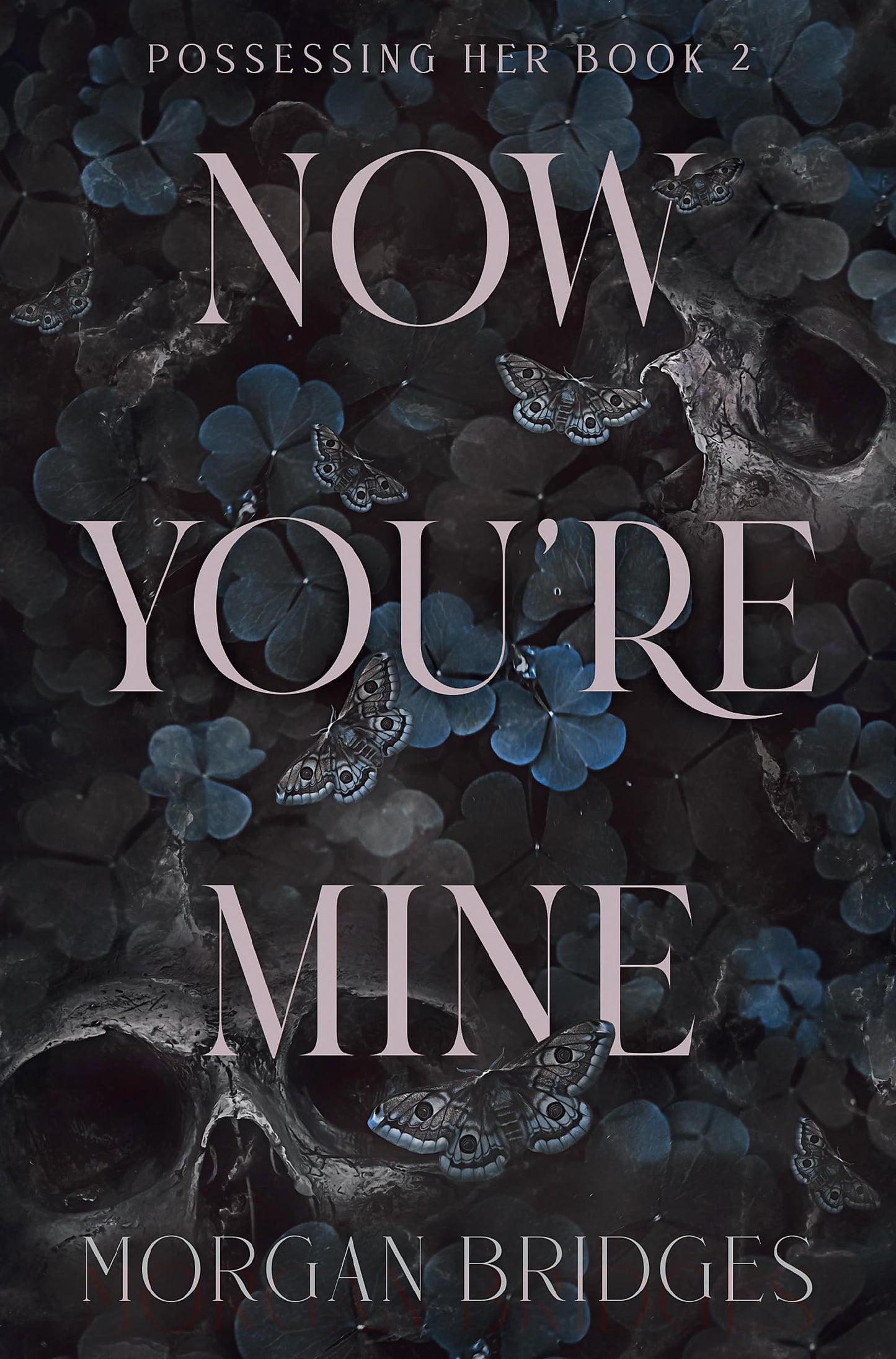 Now You're Mine: The viral dark stalker romance everyone is talking about!