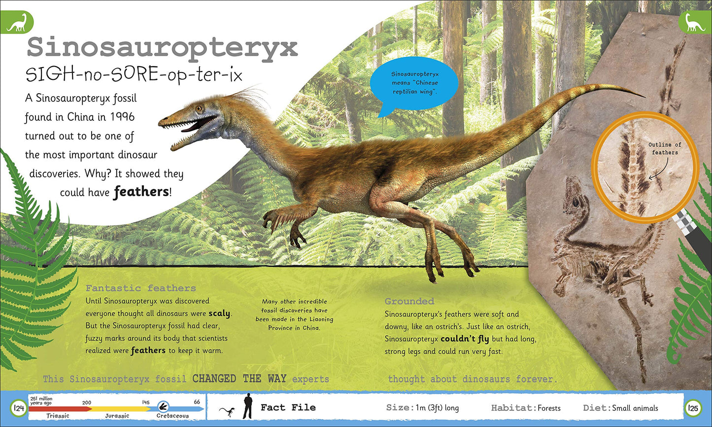 My Encyclopedia of Very Important Dinosaurs: For Little Dinosaur Lovers Who W...