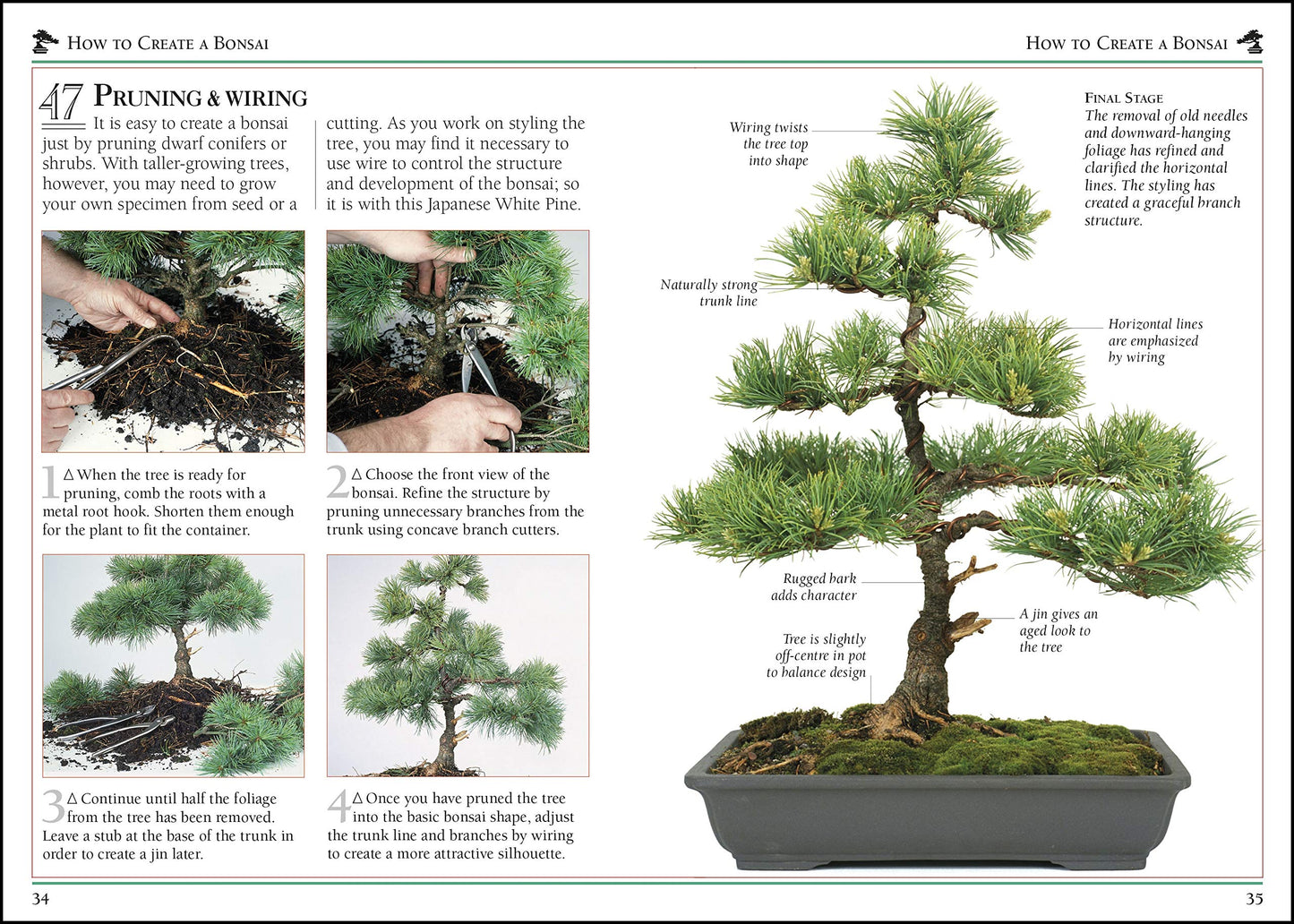 101 Essential Tips Bonsai: Breaks Down the Subject into 101 Easy-to-Grasp Tips