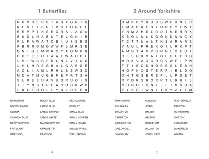 Big Book of Wordsearches book 2: 300 puzzles (Collins Wordsearches)