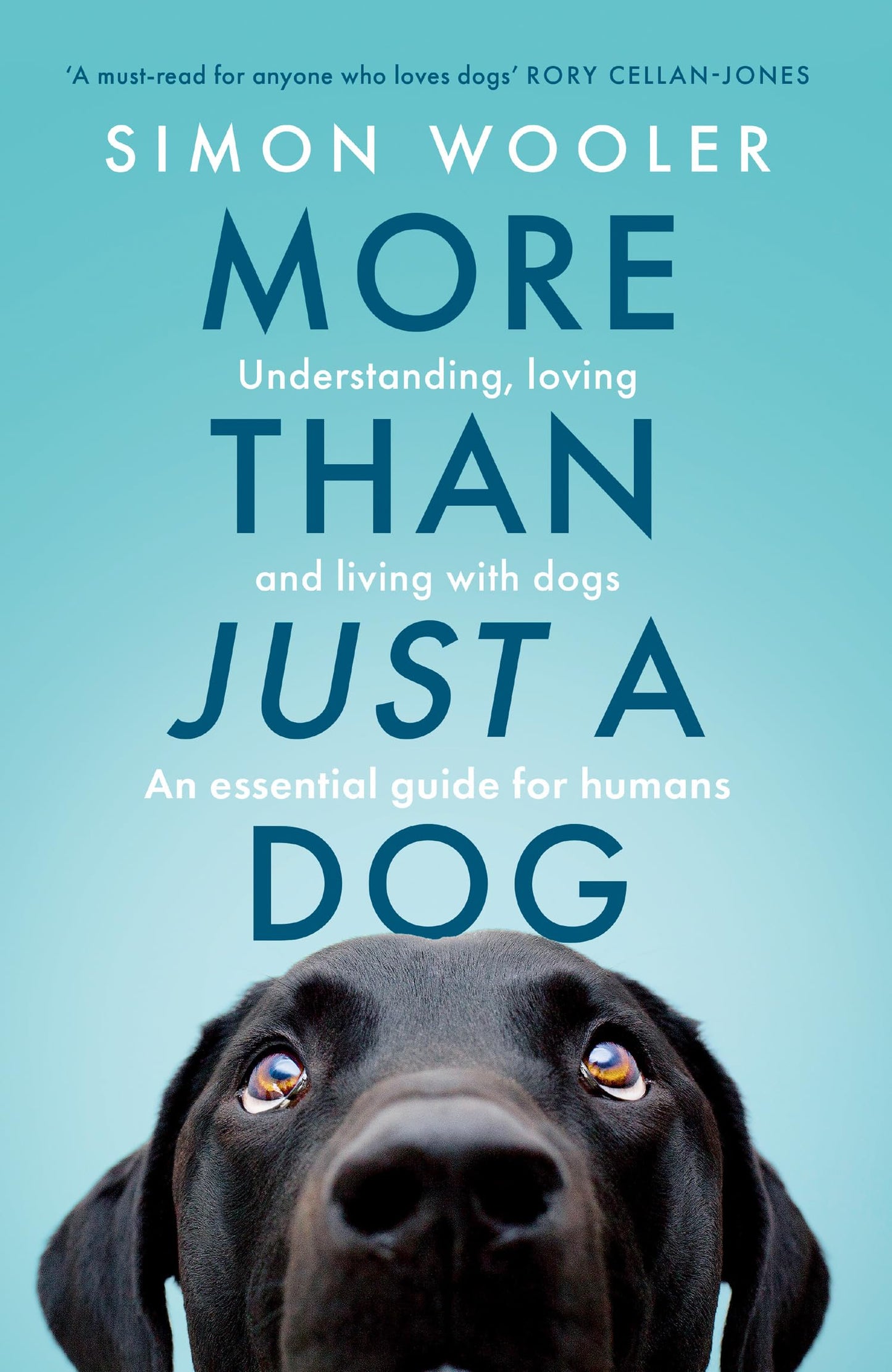 More Than Just a Dog: Understanding, loving and living with dogs. The indispensable guide for all dog lovers