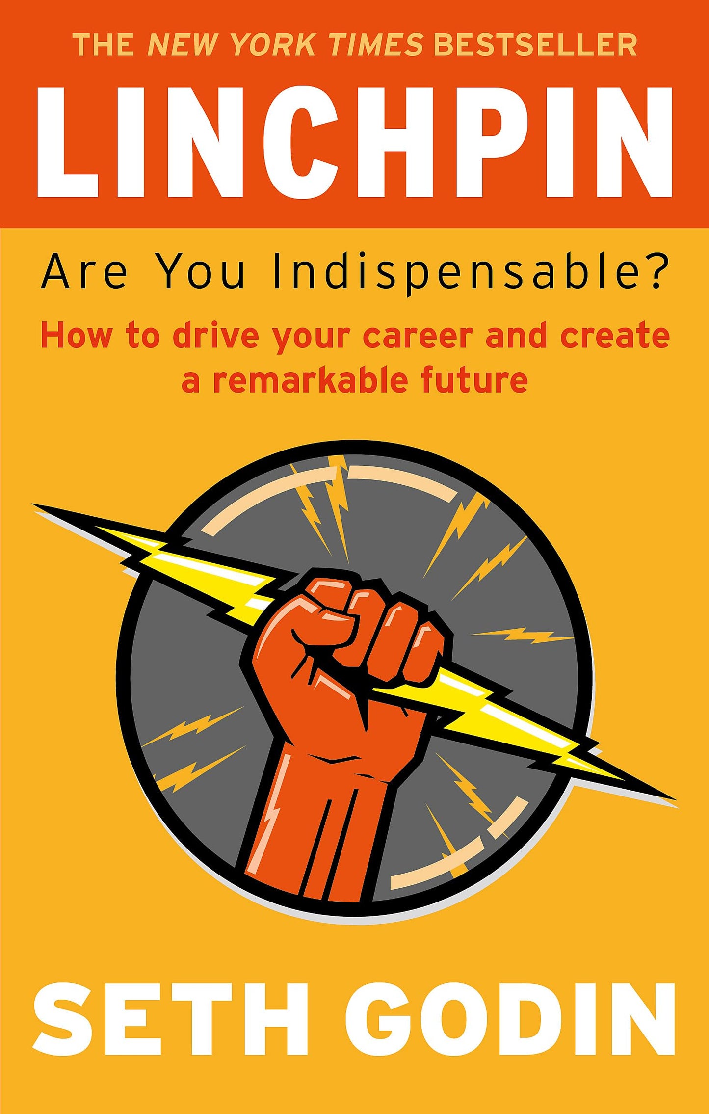 Linchpin: Are You Indispensable? How to drive your career and create a remarkable future
