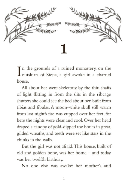 A Secret of Birds & Bone: from the bestselling author of The Girl of Ink & Stars