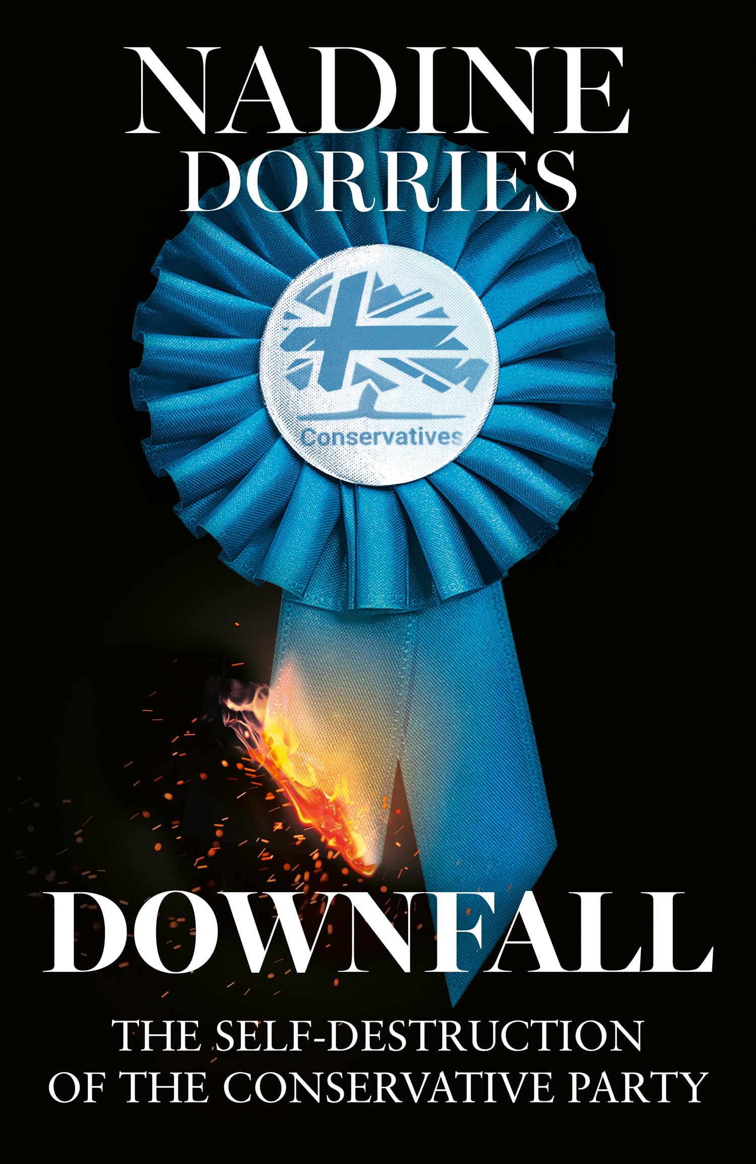 Downfall: The thrilling new political book from the author of The Plot, Nadine Dorries