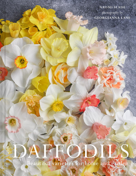 Daffodils: The ultimate guide for growing, flowering and cutting beautiful narcissi varieties for daffodils at home and in the garden
