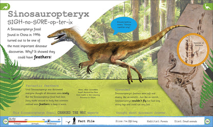 My Encyclopedia of Very Important Dinosaurs: For Little Dinosaur Lovers Who W...