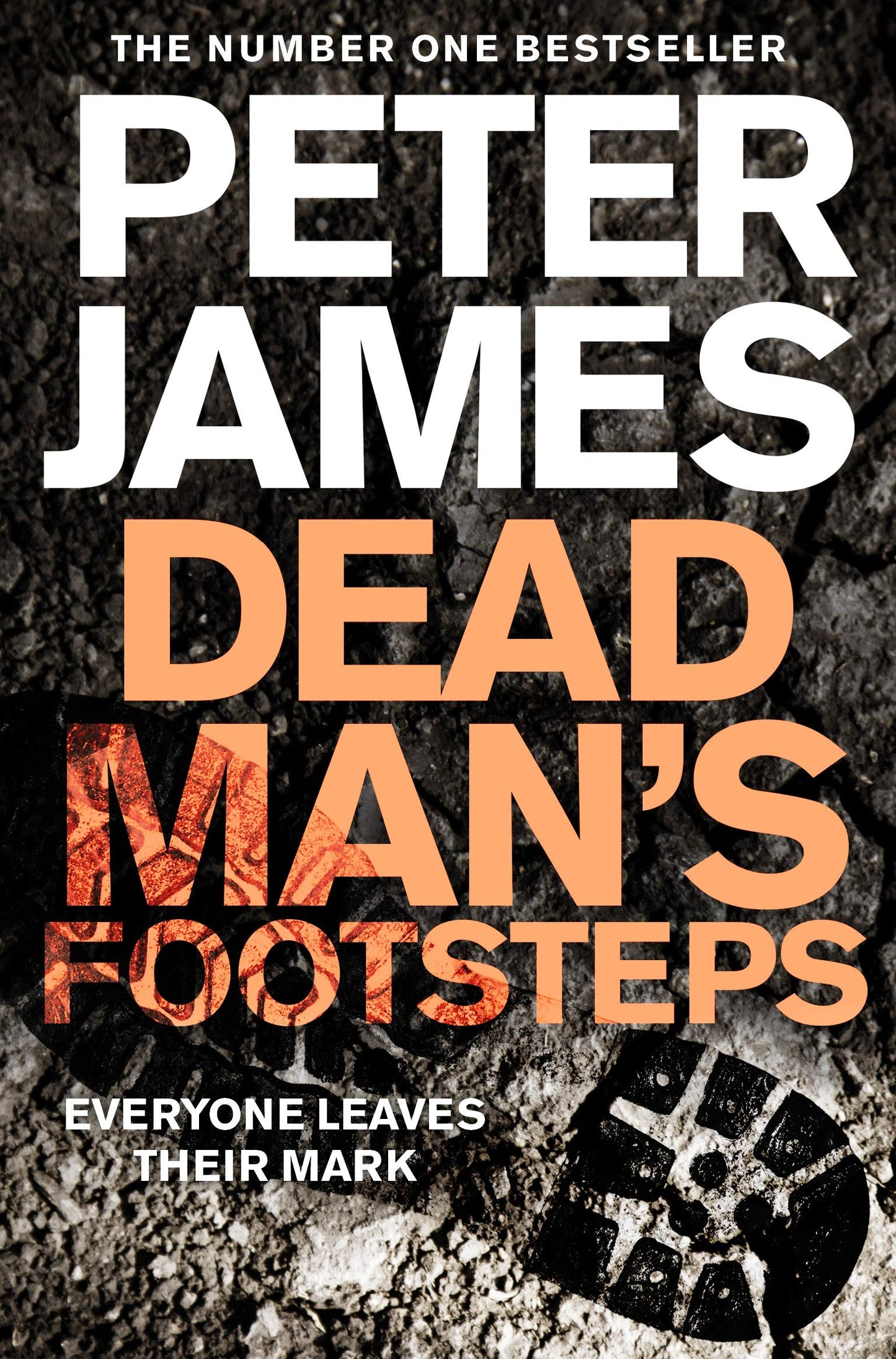 Dead Man's Footsteps: 4 (Roy Grace, 4)