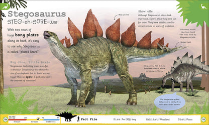 My Encyclopedia of Very Important Dinosaurs: For Little Dinosaur Lovers Who W...