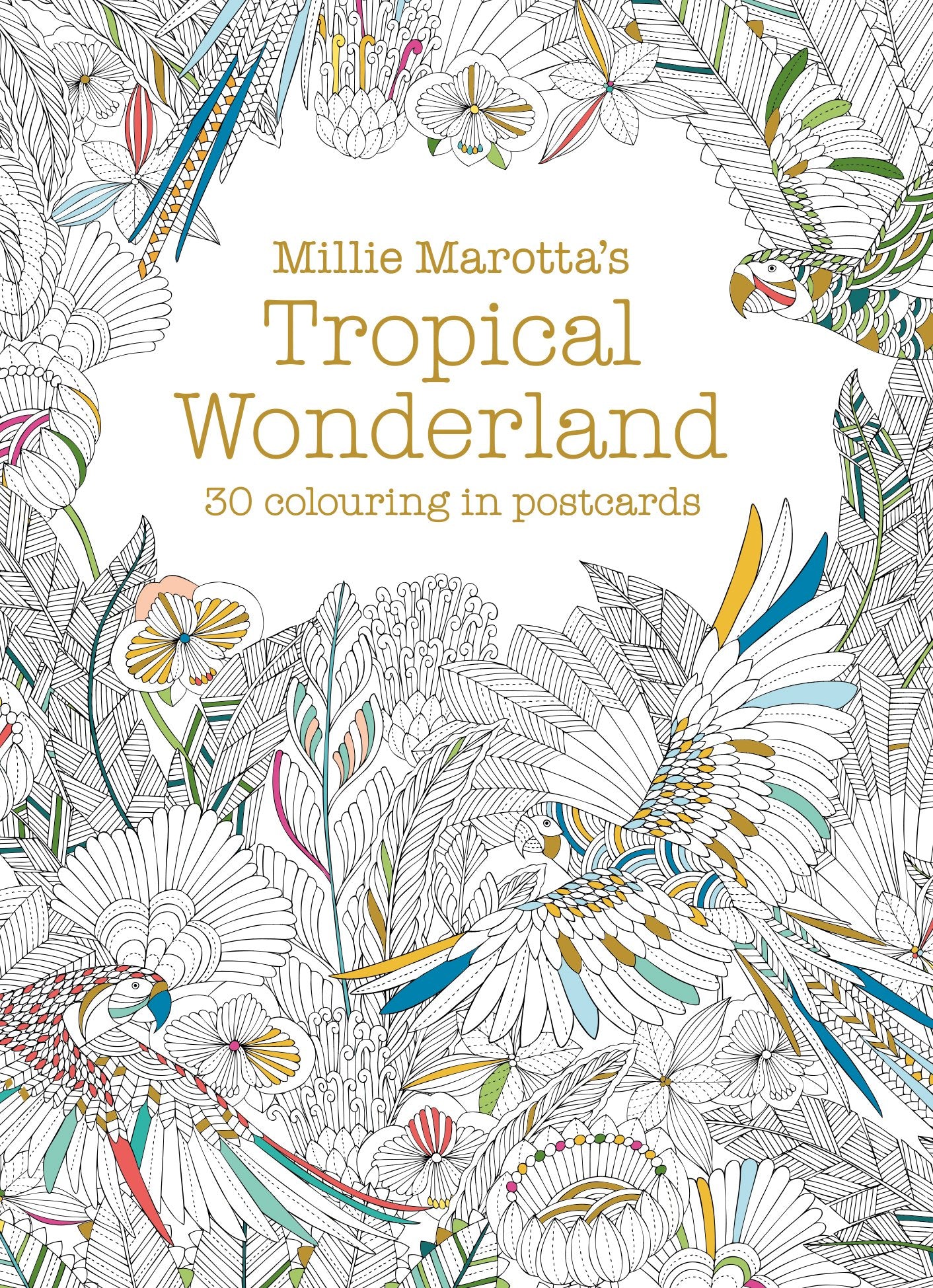 Millie Marotta's Tropical Wonderland Postcard Book: 30 beautiful cards for colouring in: 13